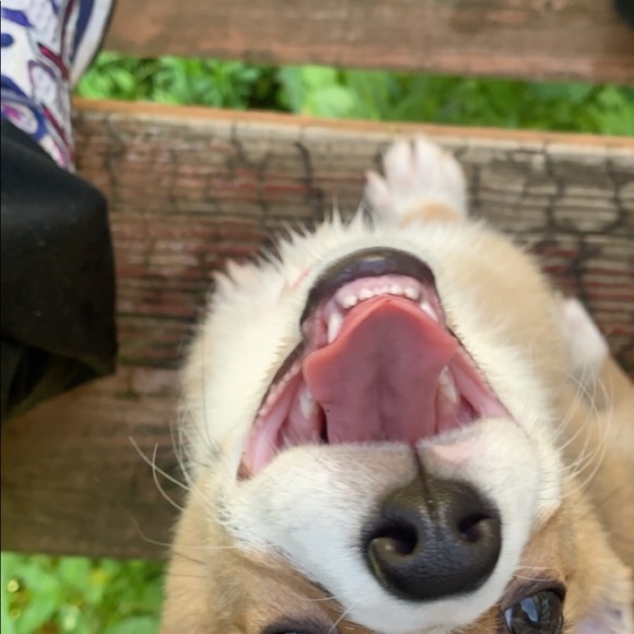 hey, I’m meg!🌸 - Picture 4 of 4